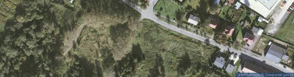 Zdjęcie satelitarne Dino