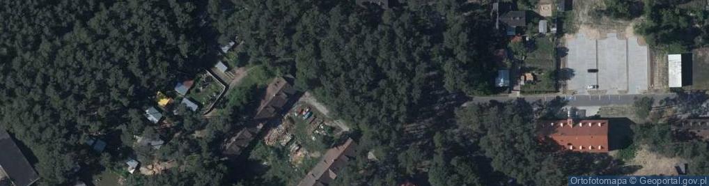 Zdjęcie satelitarne Dino