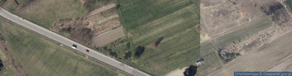 Zdjęcie satelitarne Dino