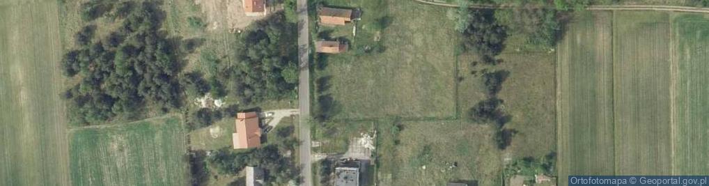 Zdjęcie satelitarne Dino