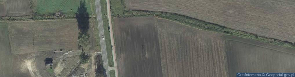 Zdjęcie satelitarne Dino