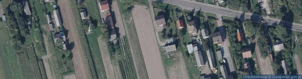 Zdjęcie satelitarne Dino