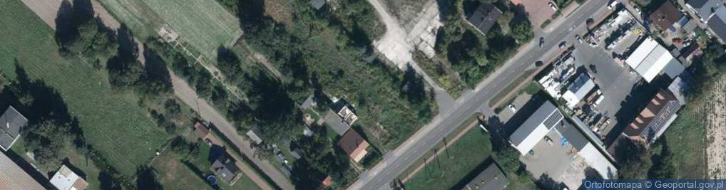 Zdjęcie satelitarne Dino