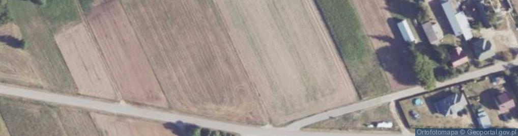 Zdjęcie satelitarne Dino