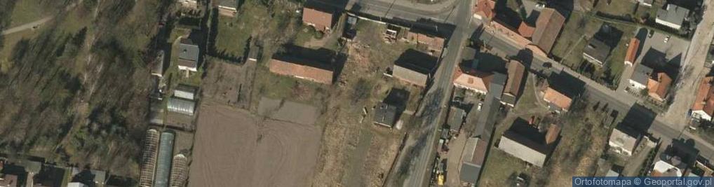 Zdjęcie satelitarne Dino