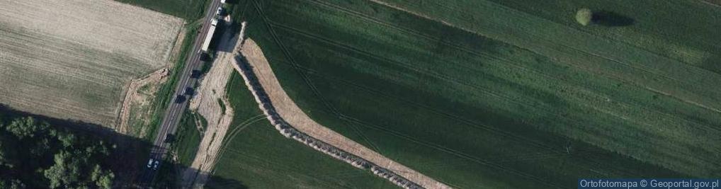 Zdjęcie satelitarne Dino