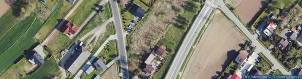 Zdjęcie satelitarne Dino