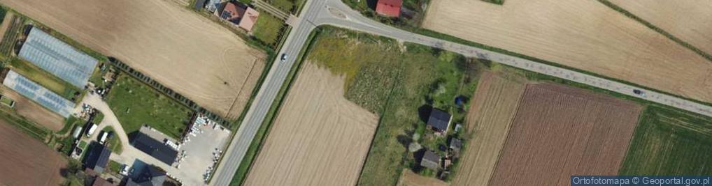 Zdjęcie satelitarne Dino