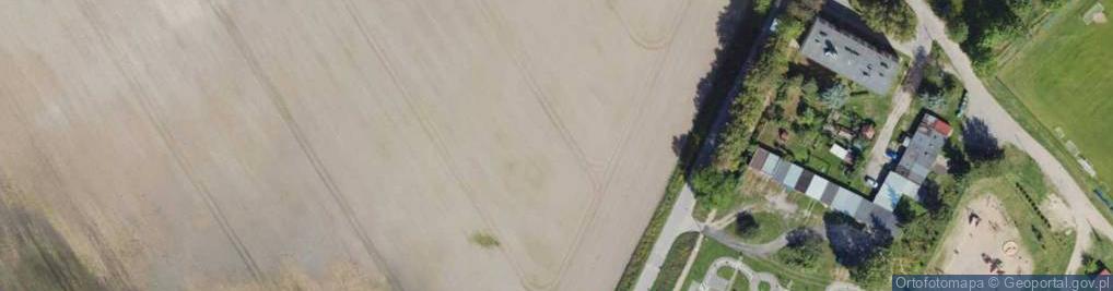 Zdjęcie satelitarne Dino