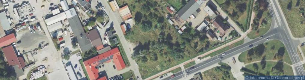 Zdjęcie satelitarne Dino