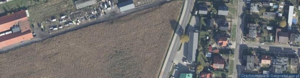 Zdjęcie satelitarne Dino