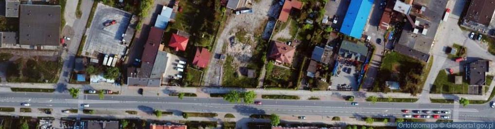 Zdjęcie satelitarne Dino