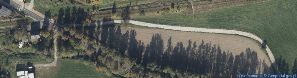 Zdjęcie satelitarne Dino