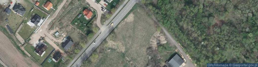 Zdjęcie satelitarne Dino