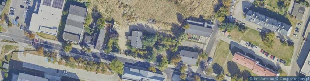 Zdjęcie satelitarne Dino