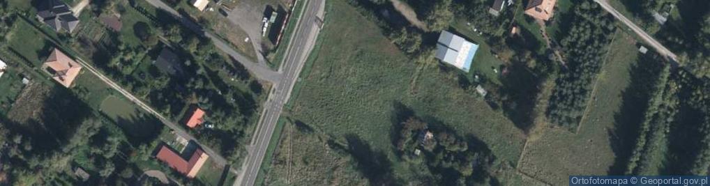 Zdjęcie satelitarne Dino