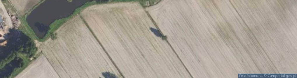 Zdjęcie satelitarne Czajków Główny