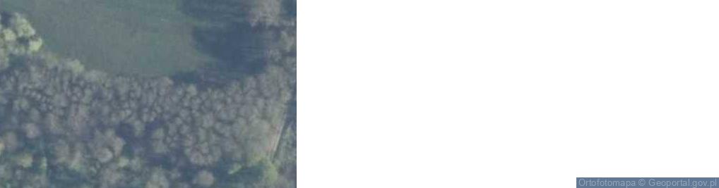 Zdjęcie satelitarne Dreżewo