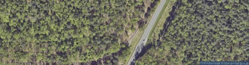 Zdjęcie satelitarne Lasowice Zalew