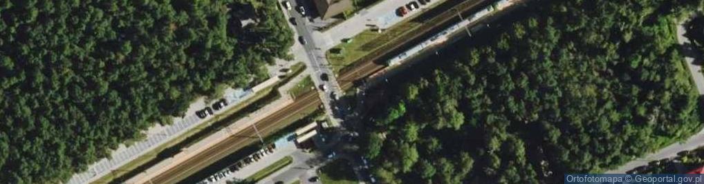 Zdjęcie satelitarne Międzyborów