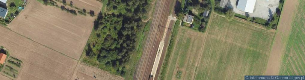 Zdjęcie satelitarne Niedźwiedź