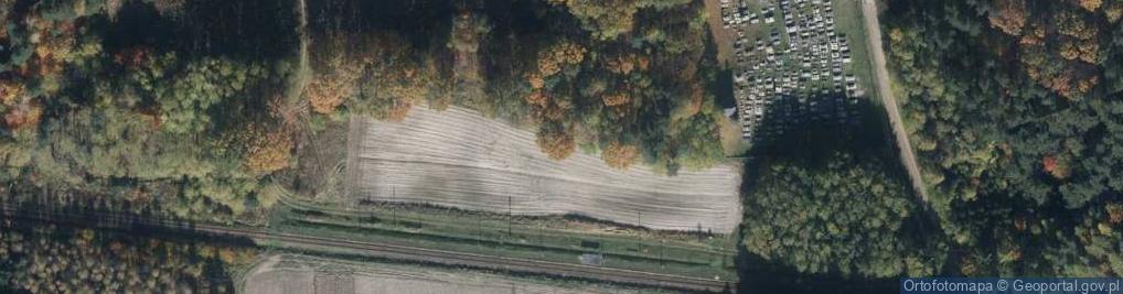 Zdjęcie satelitarne Siedliska Tomaszowskie