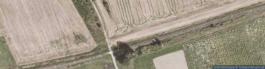 Zdjęcie satelitarne Stary Wielisław