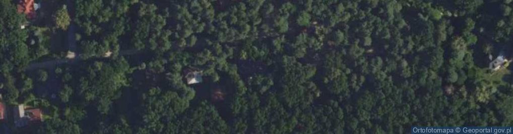 Zdjęcie satelitarne Progress Project Sp. z o.o.