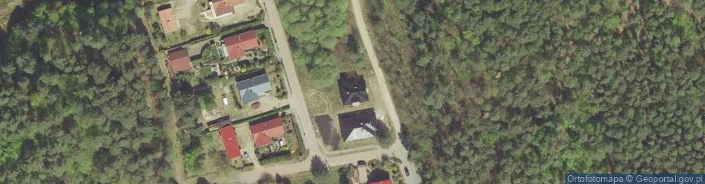 Zdjęcie satelitarne Veronika Gayday - Development, Events and Teaching Programs