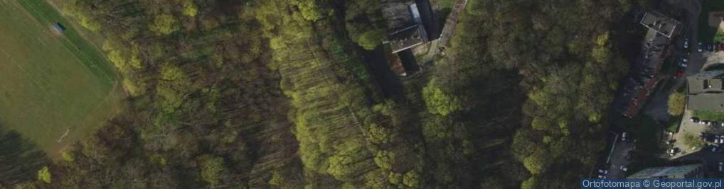 Zdjęcie satelitarne Bastion Pośredni