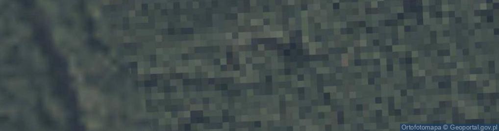 Zdjęcie satelitarne Bunkier