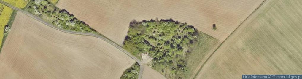 Zdjęcie satelitarne Bunkier