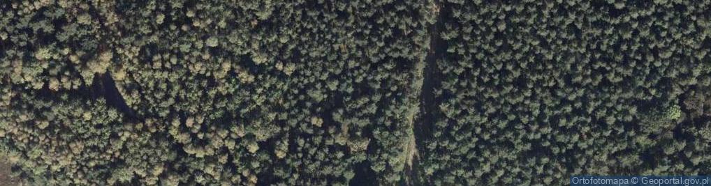 Zdjęcie satelitarne Bunkier