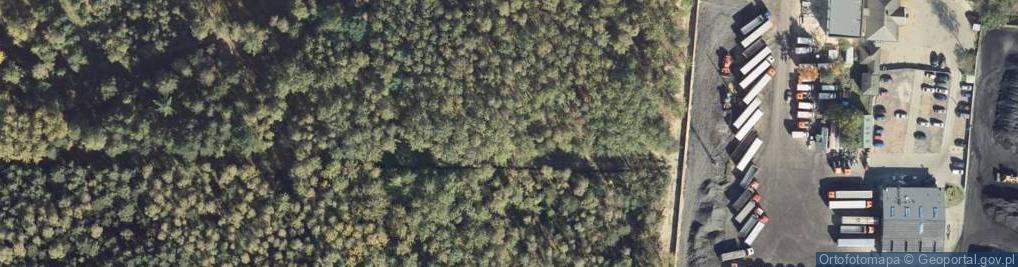 Zdjęcie satelitarne Bunkier