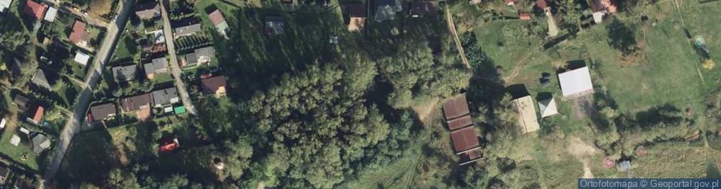 Zdjęcie satelitarne Bunkier