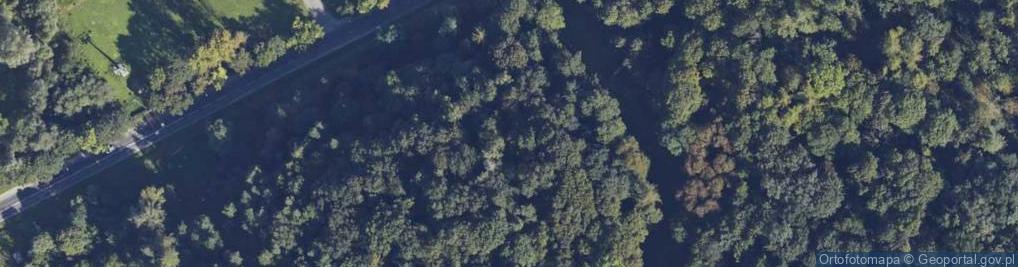 Zdjęcie satelitarne Bunkier