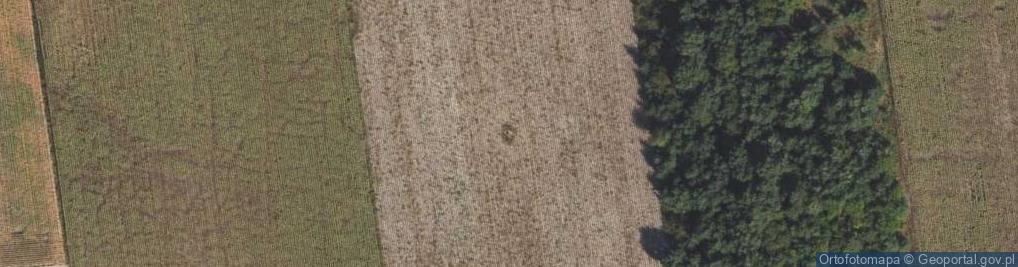 Zdjęcie satelitarne Bunkier