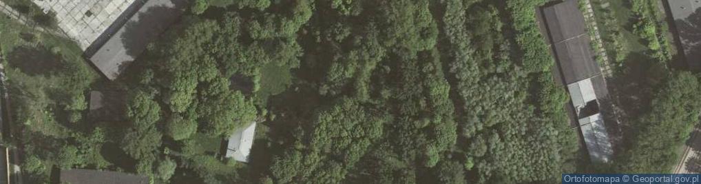 Zdjęcie satelitarne Fort 17 Luneta Grzegórzecka