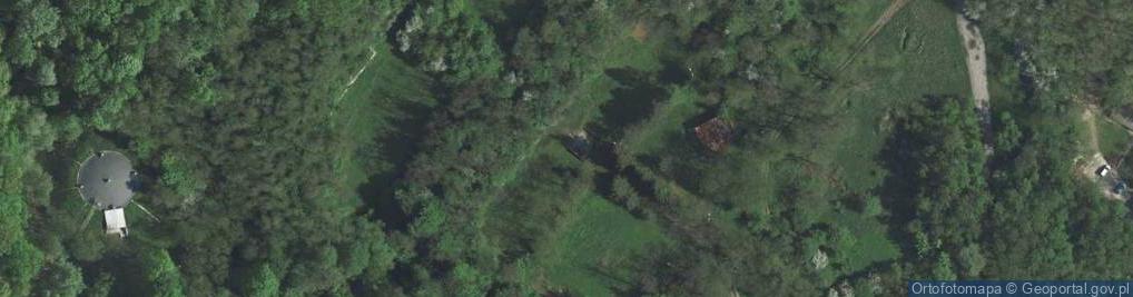 Zdjęcie satelitarne Fort 43 Pasternik