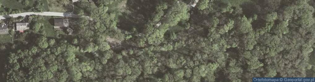 Zdjęcie satelitarne Fort 51 Rajsko