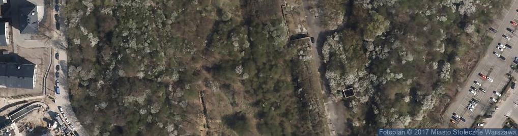 Zdjęcie satelitarne Fort IV "Chrzanów"