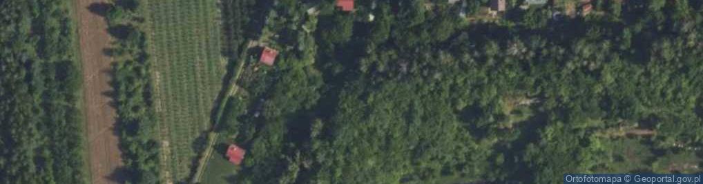 Zdjęcie satelitarne Fortyfikacja