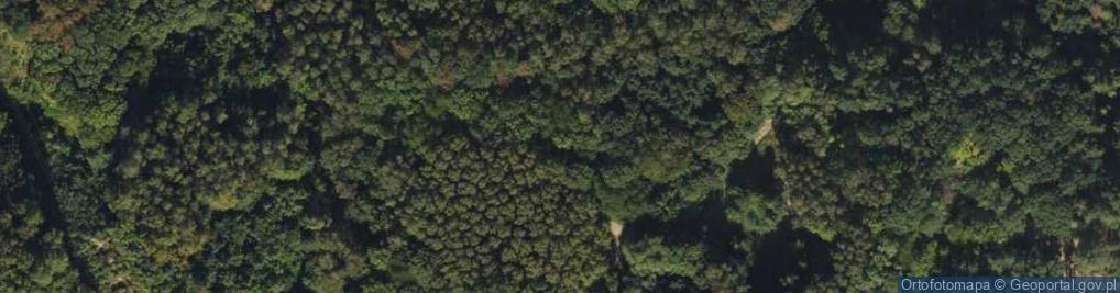 Zdjęcie satelitarne Fortyfikacja