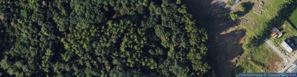 Zdjęcie satelitarne Kawerna Winnica