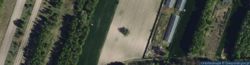 Zdjęcie satelitarne Kochbunker
