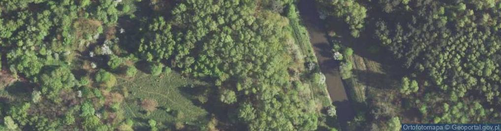 Zdjęcie satelitarne Kochbunker