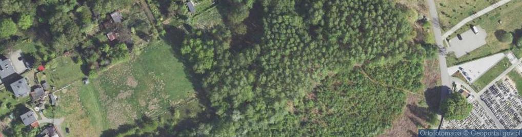 Zdjęcie satelitarne Kochbunker