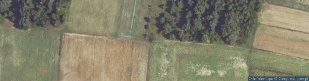 Zdjęcie satelitarne Kochbunker
