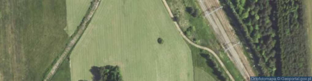 Zdjęcie satelitarne Kochbunker