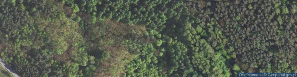 Zdjęcie satelitarne kochbunkier bojowy